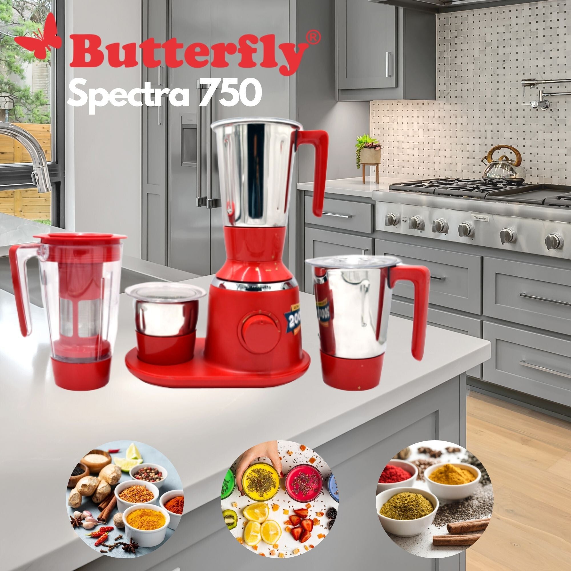 Butterfly Spectra Mixer Grinder - 750 W - 4 Jars