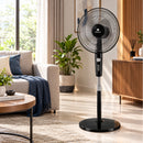 Havells Rigo Pedestal Stand Fan Black 400Mm | 3 Speed Levels & Adjustable Height | 5AS Blade with 1 Hours Timer