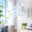 Havells Oro Wall Fan White 400Mm | 3 Speed Levels Wall Mounted Cooling Fan with 2 Pull String Cords | Perfect for Home, Work Room or Office Use