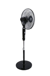 Havells Rigo Pedestal Stand Fan Black 400Mm | 3 Speed Levels & Adjustable Height | 5AS Blade with 1 Hours Timer